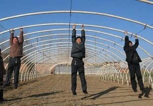 大棚鋼管加工-銷售電話:13865545460