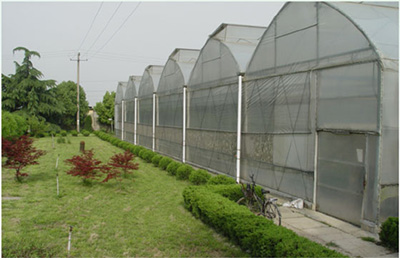 薄膜連棟溫室建設(shè)電話13865545460