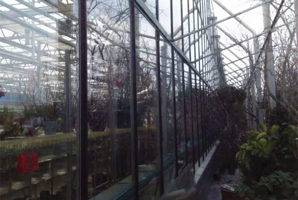 玻璃連棟溫室建設(shè)電話13865545460